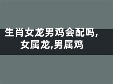 生肖女龙男鸡会配吗,女属龙,男属鸡