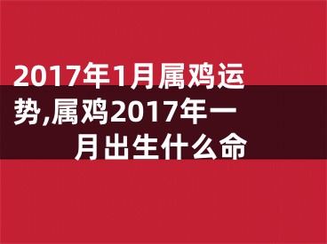 2017年1月属鸡运势,属鸡2017年一月出生什么命