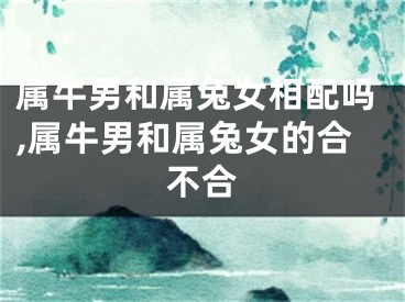 属牛男和属兔女相配吗,属牛男和属兔女的合不合
