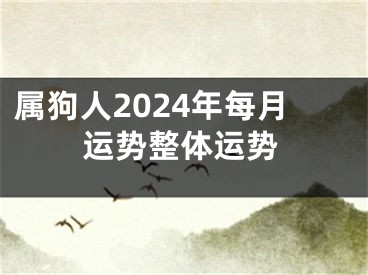 属狗人2024年每月运势整体运势