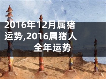 2016年12月属猪运势,2016属猪人全年运势