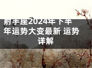 射手座2024年下半年运势大变最新 运势详解
