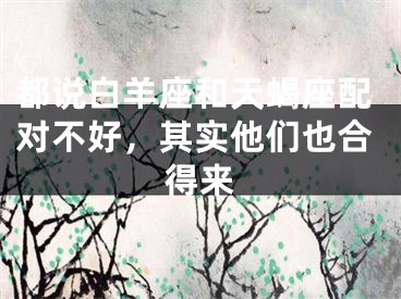 都说白羊座和天蝎座配对不好，其实他们也合得来