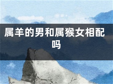 属羊的男和属猴女相配吗