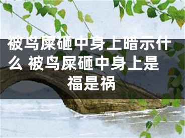 被鸟屎砸中身上暗示什么 被鸟屎砸中身上是福是祸