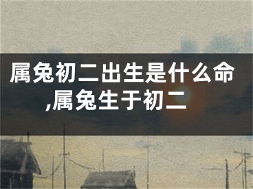 属兔初二出生是什么命,属兔生于初二