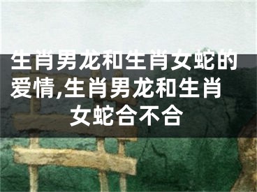 生肖男龙和生肖女蛇的爱情,生肖男龙和生肖女蛇合不合
