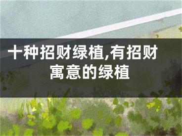 十种招财绿植,有招财寓意的绿植