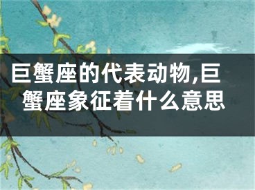 巨蟹座的代表动物,巨蟹座象征着什么意思