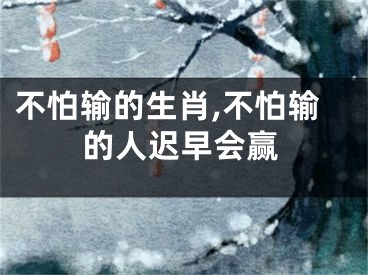 不怕输的生肖,不怕输的人迟早会赢