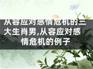 从容应对感情危机的三大生肖男,从容应对感情危机的例子
