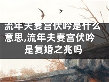 流年夫妻宫伏吟是什么意思,流年夫妻宫伏吟是复婚之兆吗