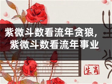 紫微斗数看流年贪狼,紫微斗数看流年事业