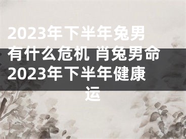 2023年下半年兔男有什么危机 肖兔男命2023年下半年健康运