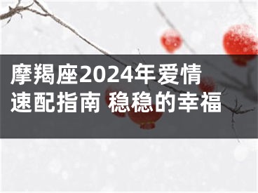 摩羯座2024年爱情速配指南 稳稳的幸福
