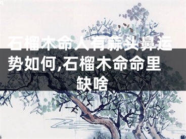 石榴木命人有蒜头鼻运势如何,石榴木命命里缺啥