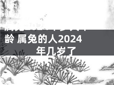 属兔2024年多大年龄 属兔的人2024年几岁了
