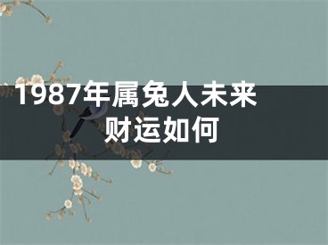 1987年属兔人未来财运如何