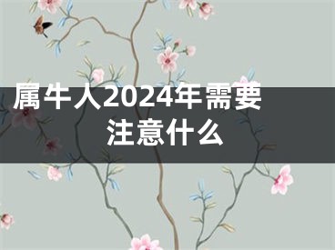 属牛人2024年需要注意什么
