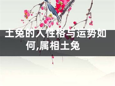 土兔的人性格与运势如何,属相土兔