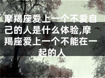 摩羯座爱上一个不爱自己的人是什么体验,摩羯座爱上一个不能在一起的人