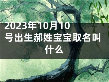 2023年10月10号出生郝姓宝宝取名叫什么