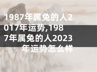 1987年属兔的人2017年运势,1987年属兔的人2023年运势怎么样