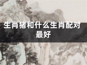 生肖猪和什么生肖配对最好