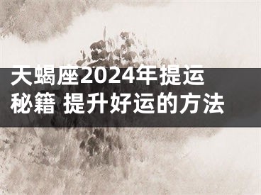 天蝎座2024年提运秘籍 提升好运的方法