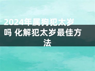 2024年属狗犯太岁吗 化解犯太岁最佳方法
