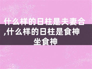 什么样的日柱是夫妻合,什么样的日柱是食神坐食神
