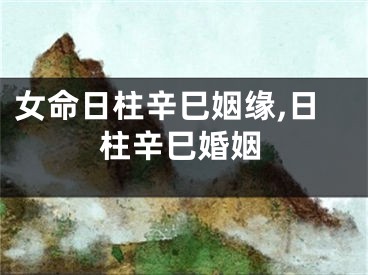 女命日柱辛巳姻缘,日柱辛巳婚姻