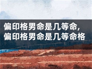 偏印格男命是几等命,偏印格男命是几等命格