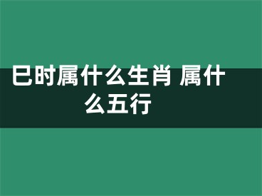 巳时属什么生肖 属什么五行 