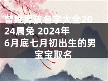 曾姓男孩名字大全2024属兔 2024年6月底七月初出生的男宝宝取名