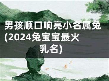 男孩顺口响亮小名属兔(2024兔宝宝最火乳名)