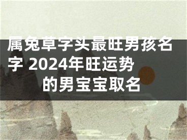 属兔草字头最旺男孩名字 2024年旺运势的男宝宝取名