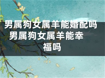 男属狗女属羊能婚配吗  男属狗女属羊能幸福吗