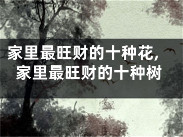 家里最旺财的十种花,家里最旺财的十种树