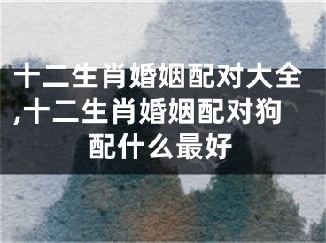 十二生肖婚姻配对大全,十二生肖婚姻配对狗配什么最好
