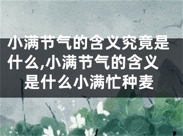 小满节气的含义究竟是什么,小满节气的含义是什么小满忙种麦