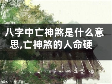 八字中亡神煞是什么意思,亡神煞的人命硬