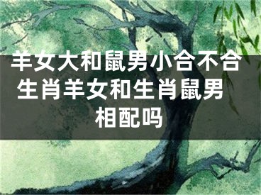 羊女大和鼠男小合不合 生肖羊女和生肖鼠男相配吗