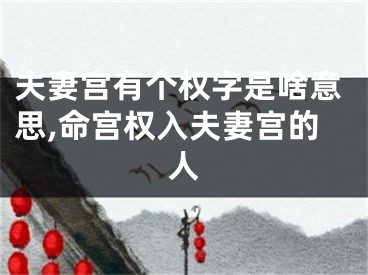 夫妻宫有个权字是啥意思,命宫权入夫妻宫的人