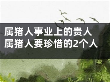 属猪人事业上的贵人 属猪人要珍惜的2个人