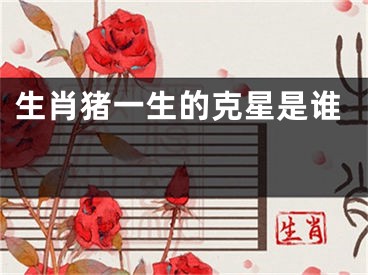 生肖猪一生的克星是谁 