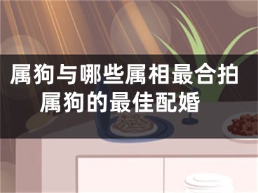 属狗与哪些属相最合拍 属狗的最佳配婚