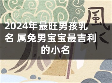 2024年最旺男孩乳名 属兔男宝宝最吉利的小名