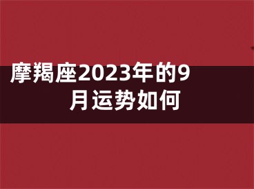 摩羯座2023年的9月运势如何