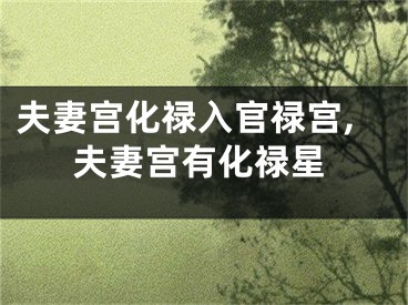夫妻宫化禄入官禄宫,夫妻宫有化禄星